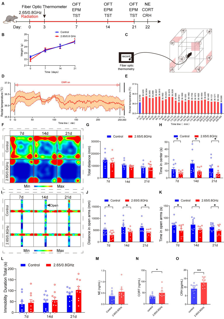 Effect of dual-frequency EMR on body weight, rectal temperature, emotion behavior, and serum hormones in mice. (A) Experimental timeline for dual-frequency 2.65/0.8GHz radiation (8:00–12:00), fiber optic thermometer, open field test (OFT, 8:00–10:00), elevated plus maze (EPM, 12:00–14:00), tail suspension test (TST, 18:00–20:00), and detection of NE, CORT, and CRH. (B) Changes in body weight of mice due to dual-frequency EMR (n = 10 per group). (C–E) Rectal temperature measured by a fiber optic thermometer (n = 3 per group). Schematic of the experimental device. (D) Plot of average rectal temperature before, during, and after EMR exposure. The red shadow indicates the standard error of the mean (SEM). (E) Histogram of rectal temperature as displayed in (D). (F) Heatmap illustrating representative trajectories and statistical analysis of OFT results on days 7, 14, and 21 (n = 10 per group). (G) Total distance. (H) Time in the center. (I) Heat map showing representative trajectories and statistical analysis of EPM results on days 7, 14, and 21 (n = 10 per group). (J) Distance in open arms. (K) Time in open arms. (L) Statistical analysis of TST results on days 7, 14, and 21 (n = 10 per group). (M) There was no change in serum hormone NE content in mice (n = 10 per group). (N) Serum CORT increased significantly in mice (n = 10 per group). (O) Serum CRH increased significantly in mice (n = 10 per group). All data are expressed as means ± SEM. * p < 0.05, ** p < 0.01, control vs. 2.65/0.8GHz, repeated-measures analysis of variance in (B), unpaired t-test in (G,H,J–O).