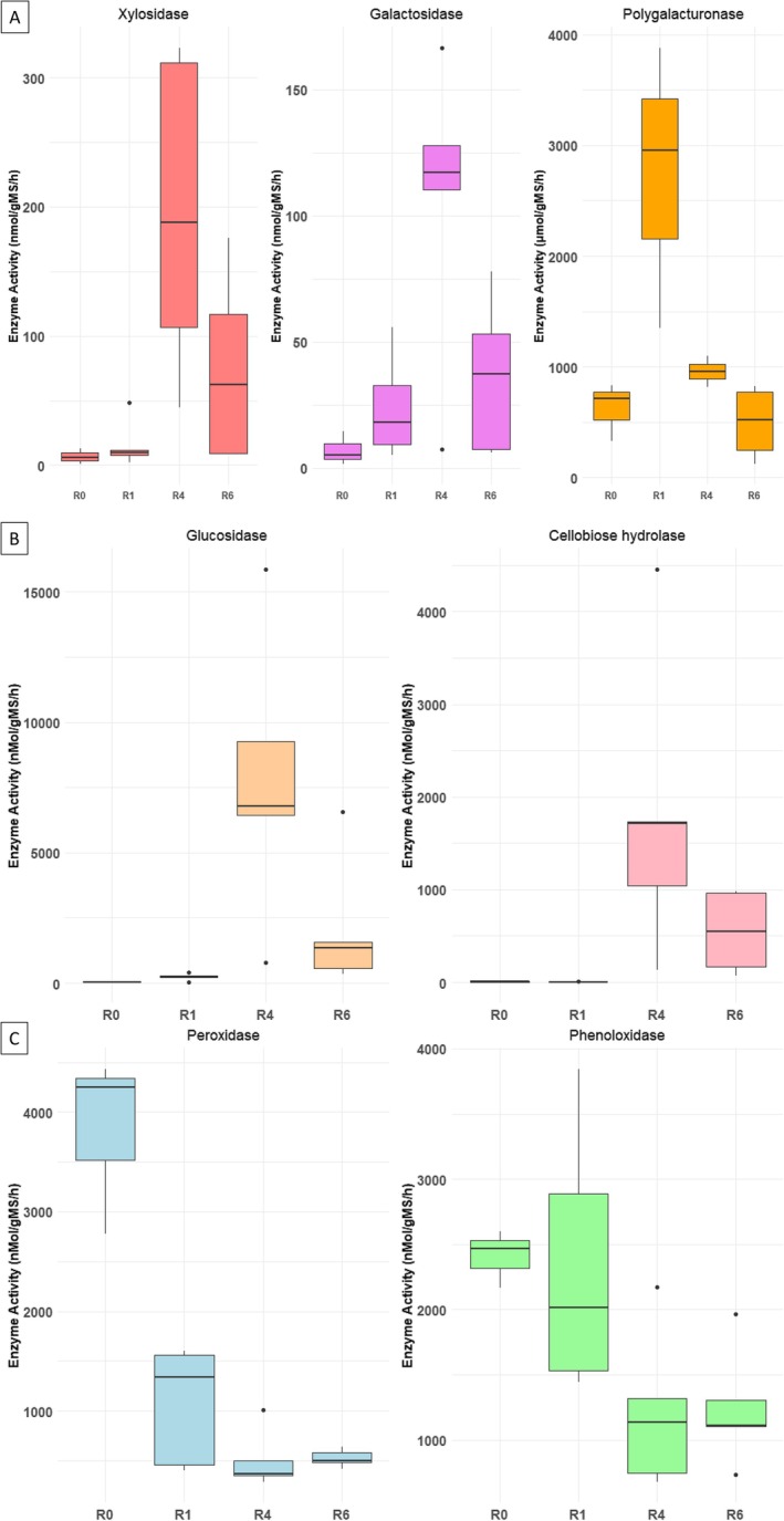 Enzymatic activities associated with hemp stems during field‐retting (A) polygalacturonase (μmol/gMS/h), ß‐xylosidase, and ß‐galactosidase (nMol/gMS/h); (B) cellobiose hydrolase and ß‐glucosidase (nMol/gMS/h); (C) phenoloxidase and peroxidase (nMol/gMS/h).