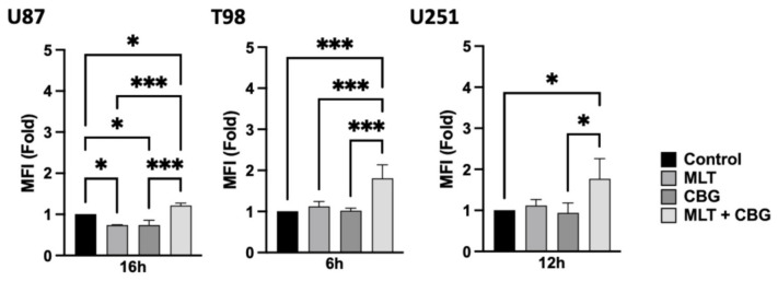 Flow cytometric analysis of intracellular ROS production in GBM cell lines under time-dependent single or combined CBG and MLT treatments (U87: MLT 0.3 mg/mL and CBG 15 µM. T98: MLT 0.6 mg/mL and CBG 30 µM. U251: MLT 0.5 mg/mL and CBG 35 µM). Quantification of DCFDA MFI, expressed as fold change relative to the untreated control, to assess intracellular ROS levels in U87 (16 h), T98 (6 h), and U251 (12 h) lines under single or combined MLT and CBG exposure. In all bar graphs, the untreated control group was normalized to 1. Data are presented as the mean ± SD of at least three independent biological replicates. Statistical significance was determined using a one-way ANOVA followed by Tukey’s post hoc test for multiple comparisons (* p < 0.05, *** p < 0.001).