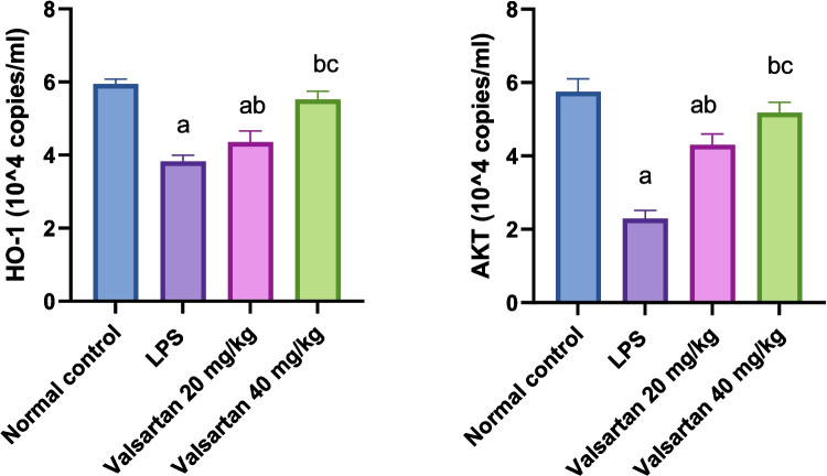 Effects of VAL on HO-1 and AKT expression in LPS-induced AD. Data are presented as the mean ± SD of (n = 8) for each group. Statistical analysis was carried out by one-way analysis of variance followed by Tukey’s multiple comparisons test. Different letters on top of bars denote statistical significance as follows: (a) statistically significant from the normal group, (b) statistically significant from the LPS control group, (c) statistically significant from VAL 20 mg/kg group at p < 0.05