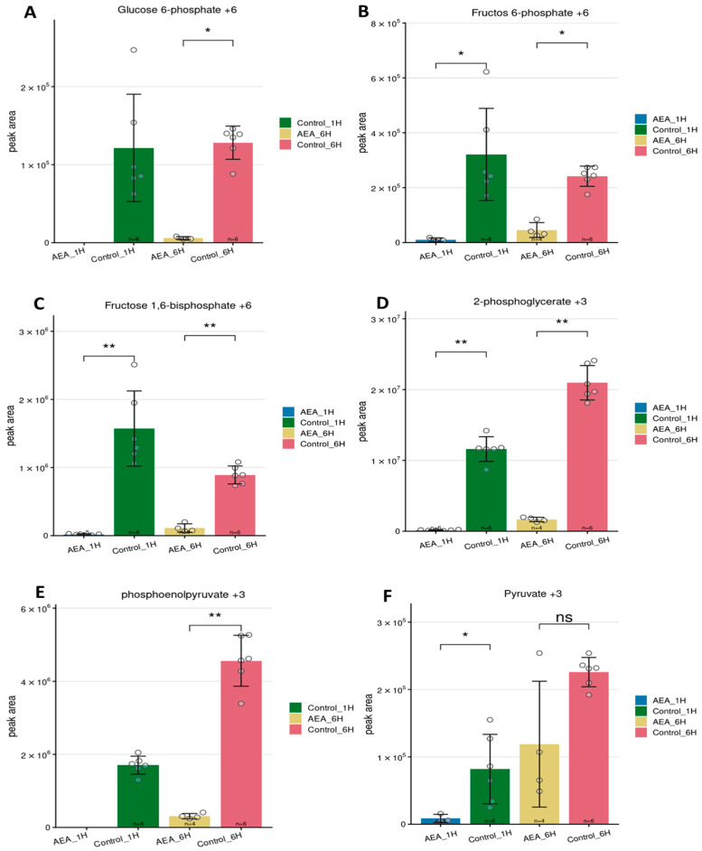 Tracing analysis of glycolytic intermediates. S. mutans untreated and treated with 10 µg/mL AEA for 1 and 6 h, grown in the presence of 13C-glucose, and analyzed by LC-MS-based metabolomics. Glycolytic intermediates (A) G6P, (B) F6P, (C) F1,6BP, (D) 2-PG, (E) PEP, and (F) pyruvate were analyzed, and graphs were generated using Metabolite AutoPlotter V.2.6. Statistical significance was calculated using the Mann–Whitney test. n = 6 for all conditions except AEA 6 h, where n = 4. * p < 0.05 and ** p < 0.01; n.s. not significant.