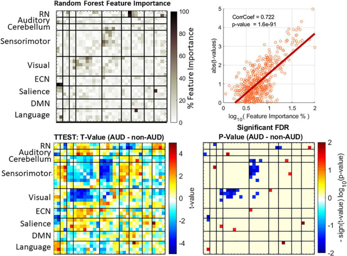 Feature importance and group difference assessments. Feature importance values were obtained from random forest (top left plot). Displayed feature importance % is the normalized average over the 10 iterations of the cross validation. Group differences were evaluated with t-statistics test (bottom left plot) and the p-values corrected using the false discovery rate (FDR) method. A strong correlation exists between the two approaches (top right plot).