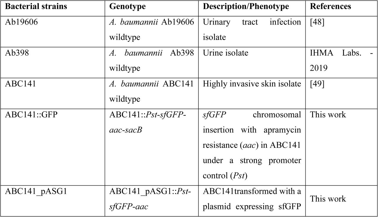List of bacterial strains used in this study.