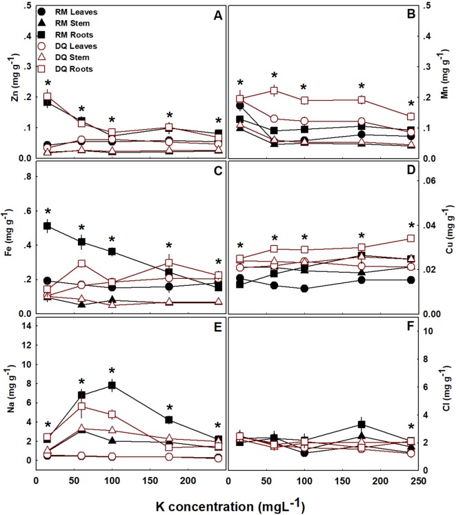 Effect of K supply on micronutrient and Na concentrations in leaves, stem, and roots of two medical cannabis cultivars, RM and DQ. Zn (A), Mn (B), Fe (C), Cu (D), Na (E), and Cl (F). Presented data are averages ± SE (n = 5). Asterisks represent significant differences between organs at each K level, by Tukey HSD test at α = 0.05.
