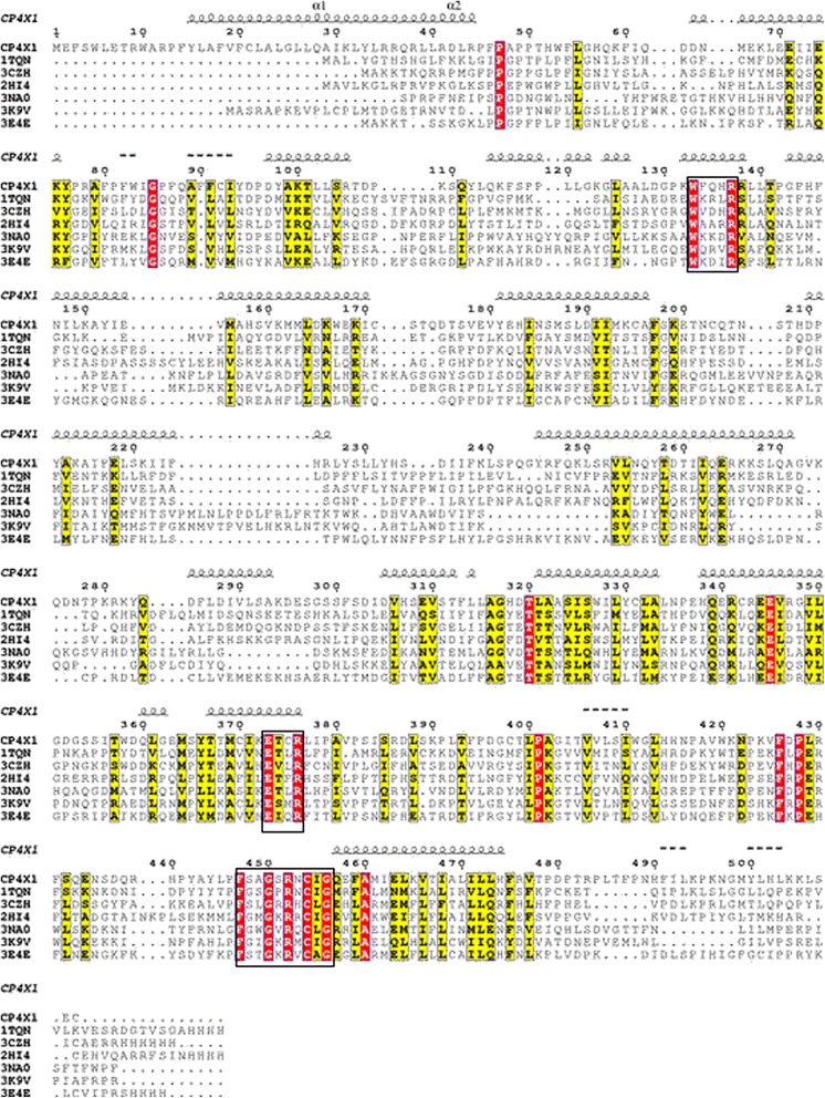 Multiple alignment of CYP4X1 with templates. The target CYP4X1 (Q8N118) and six templates (1TQN, 3CZH, 2HI4, 3NA0, 3K9V, 3E4E) were aligned using ClustalO program. The red color indicates conserved residues and yellow colour indicates a semi-consereved substitution. The signature motifs are shown in the box. The alignment figure was prepared using ESpript 2.2.