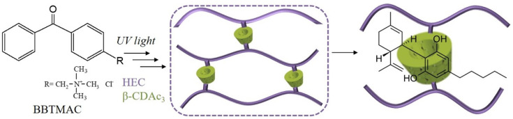 Formation of HEC/β-CD polymer network and “host-guest” complex between β-CD and CBD.
