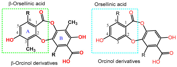 Basic skeleton of depsidones.