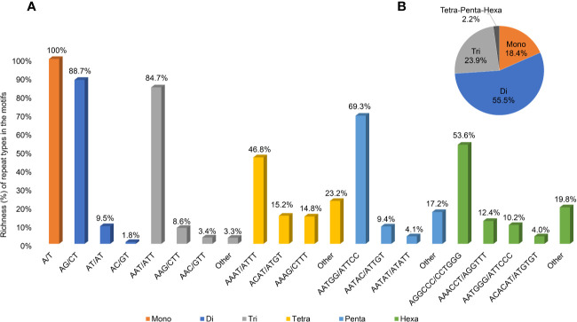 Information on SSR regions. (A) Abundance of the main repeat types (% base pairs among the total base pairs of the motifs) of SSR sites in the Cannabis cs10 genome. (B) Abundance of the motifs at the total SSR sites.