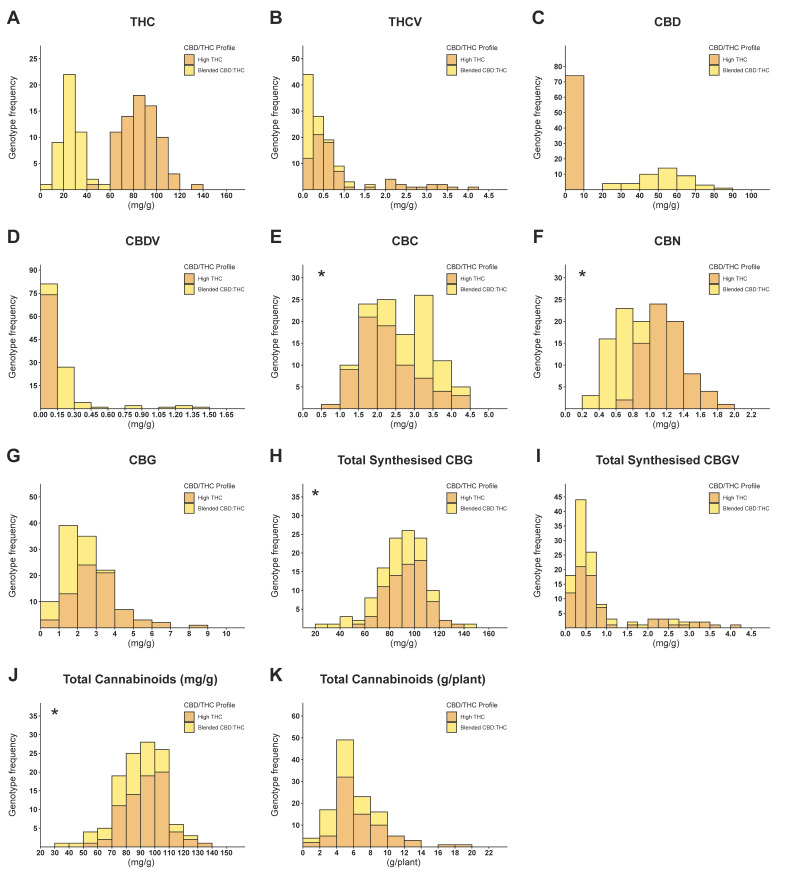 Frequency distribution of 119 cannabis genotypes across 11 cannabinoid parameters. Orange segments represent high-THC genotypes, and yellow segments represent blended THC:CBD genotypes. Charts marked with an asterisk on the top left corner are normally distributed. (A) Δ9-tetrahydrocannabinol (THC) content (mg/g), (B) Δ9-tetrahydrocannabivarin (THCV) content (mg/g), (C) cannabidiol (CBD) content (mg/g), (D) cannabidivarin (CBDV) content (mg/g), (E) cannabichromene (CBC) content (mg/g), (F) cannabinol (CBN) content (mg/g), (G) cannabigerol (CBG) content (mg/g), (H) total synthesised CBG (mg/g), (I) total synthesised CBGV (mg/g), (J) total cannabinoid concentration (mg/g), (K) total cannabinoid per plant (g/plant).