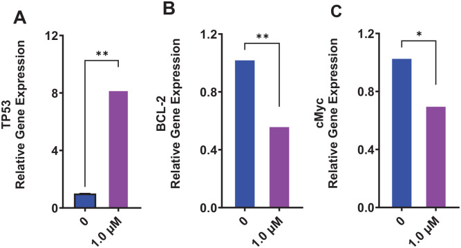 Cannabinoid-containing product BRF1A regulates the gene expression of select cancer biomarkers in papillary thyroid cancers. Thyroid cancer cells were cultured with BRF1A for 24 hours. mRNA expression was determined using qRT-PCR. Top panel gene expression with BRF1A dilution of 1.0 µM (A). TP53 (B). BCL-2 (C). c-Myc. *P < .05, **P < .01, ***P < .001 versus control (0.1% DMSO). Blue bars represent the control group, while purple bars represent the BRF1A treated samples.
