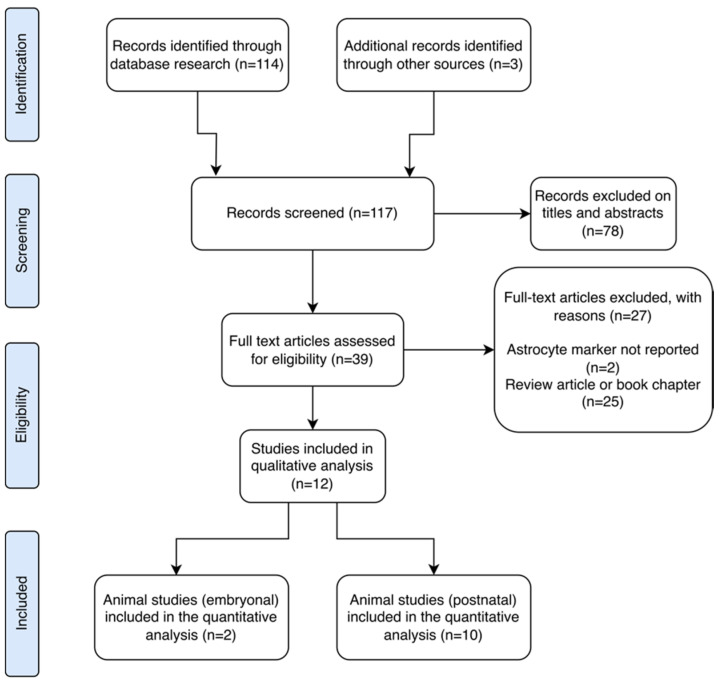 PRISMA flow diagram showing data extraction process.