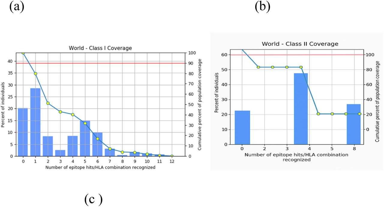 Assessment of how well the potential epitopes cover the target immune system molecules (alleles). The illustration is divided into three sections: (a) coverage achieved by MHC-I epitopes, (b) coverage achieved by MHC-II epitopes, and (c) the combined coverage encompassing both MHC-I and MHC-II epitopes.