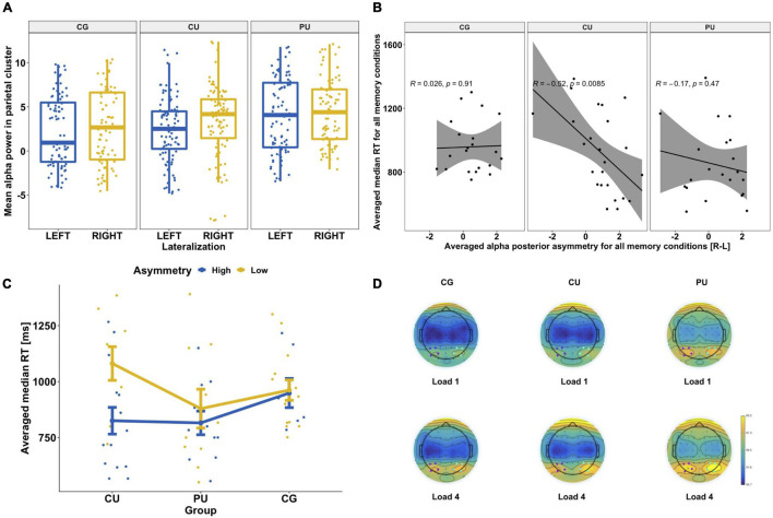 (A) Hemispheric asymmetries in posterior alpha power for each group separately: control group (CG), cannabis users (CU) and polydrug users (PU). There was significantly higher alpha power in the right posterior cluster [P4, P6, PO4, and PO8] than left [P3, P5, PO3, and PO7] for each group. (B) Association between posterior alpha asymmetry averaged across all memory loads and averaged reaction time across all memory conditions (for correct answers only) for each group separately. (C) Differences in RT depending on alpha power asymmetry level (high vs low) for three groups: CG, CU and PU. Both RT and alpha asymmetry power were averaged across all memory loads. (D) Topographic representation of alpha power (8–13 Hz) distribution during WM maintenance phase (1,000–2,450 ms) for two memory loads (1 and 4) for each group. Blue dots indicate the location of the right posterior cluster and purple dots indicate the location of the left posterior cluster.