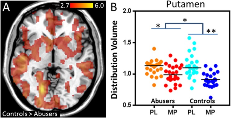 a. Statistical group differences in the effect of methylphenidate on the distribution volume between controls and marijuana abusers. Methylphenidate-induced decreases in distribution volumes were stronger in controls than in marijuana abusers (p < 0.005). There were no regions where marijuana abusers showed greater decreases than controls. b. Individual distribution volume values in putamen after placebo (PL) and after methylphenidate (MP) for marijuana abusers and controls. *p < 0.05, **p < 0.005. (Figure adapted with permission from Volkow et al. 2014a, b, c)