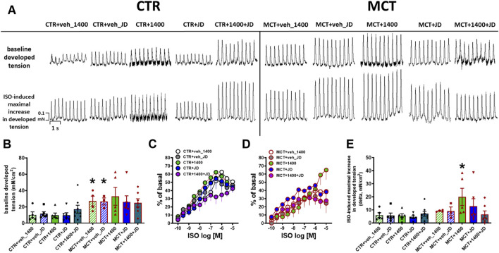 Figure consisting of five panels (A-E) comparing baseline tension of right ventricular papillary muscles and their response to increasing concentrations of isoprenaline in control and monocrotaline-treated groups under various drug treatments. Panel A shows representative original recordings. Panels B and E present bar graphs quantifying baseline developed tension and ISO-induced maximal increase in developed tension, respectively. Panels C and D display concentration-response curves representing changes in force of contraction in response to isoprenaline for CTR and MCT groups, respectively. Each panel includes labels, axes, and group legends for clarity.