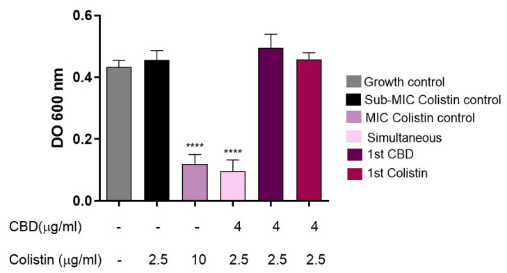 Evaluation of the effect of intermediate washing on the synergy between CBD and colistin against E. coli M15224. After initial incubation with the first antimicrobial (CBD or colistin) for 30 min at 37 °C, two washes with sterile saline solution were performed before the addition of the second compound. Controls: growth without antimicrobials, individual treatments, simultaneous combination, and colistin at MIC (10 µg/mL). One-way ANOVA followed by Dunnett’s post hoc test, with each column compared to the control group (colistin alone at the concentration used in the synergy test, black column); n = 4. Statistical significance: **** p < 0.0001.