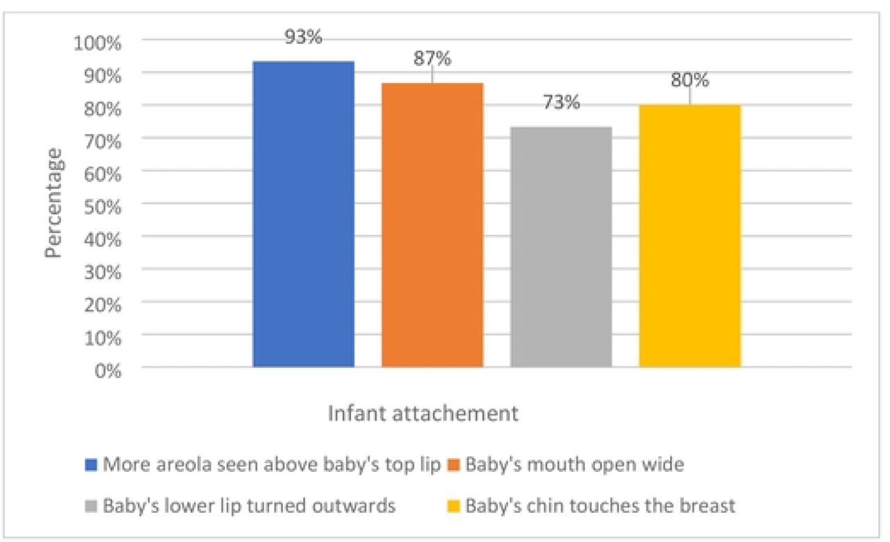 Infant attachment at mother’s breast during feeding