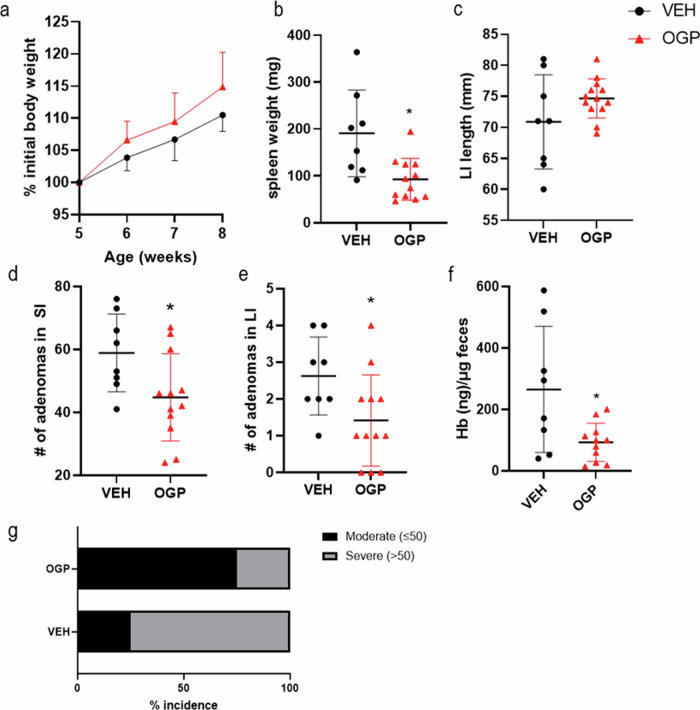 OGP attenuates adenomagenesis during the initiation phase in ApcMin/+ mice.a Body weight expressed as percent (%) initial body weight on the day of the first injection, two-way ANOVA, p = 0.067. b Spleen weight. c Length of large intestine (LI). d Gross adenomas in the small intestine (SI). e Gross adenomas in the large intestine (LI, each measuring 2–4 mm). f Quantitative analysis of fecal occult blood on the day of sacrifice. g Percent incidence of moderate and severe cases based on adenoma count, Fisher’s exact test, p = 0.0648. Vehicle control (VEH), I = 8; OGP 700 ng/week, n = 12. Student’s t-test or Mann–Whitney U test, *p < 0.05.