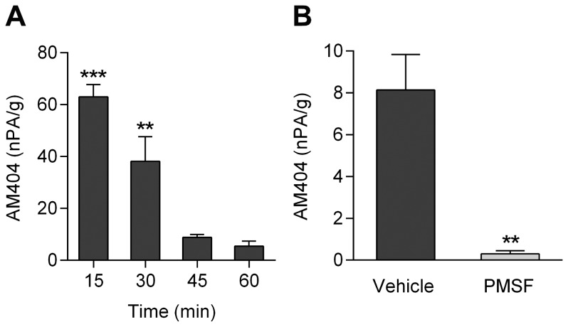 Content of AM404 in the rat brain after intraperitoneal injection of 4-aminophenol (100 mg/kg).Brain content of AM404 at different time points after 4-aminophenol administration (A; n = 6). Brain content of AM404 20 min after 4-aminophenol injection in animals pretreated with phenylmethanesulfonyl fluoride (PMSF; 10 mg/kg s.c.) 20 min before 4-aminophenol administration (B; n = 6). The AM404 content is presented as normalized peak area (nPA) per g protein. Results are expressed as mean ± SE. **p<0.01 and ***p<0.001 when compared to time zero (A) or vehicle-treated animals (B), using Kruskal-Wallis one-way ANOVA followed by Dunn’s multiple comparisons test (A) or Mann-Whitney U test (B).