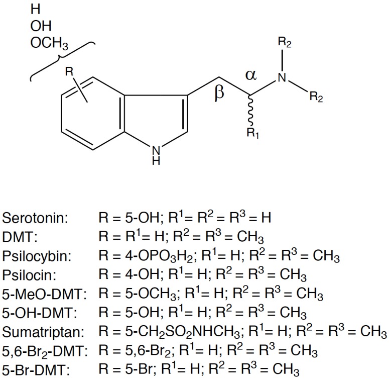 Tryptamine structure as template for new psychoactive compounds