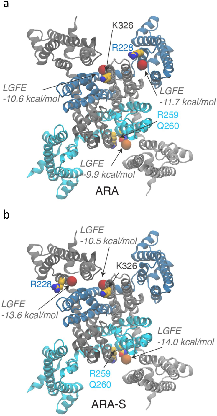 Hiniesto-Inigo et al R2 Figure S3