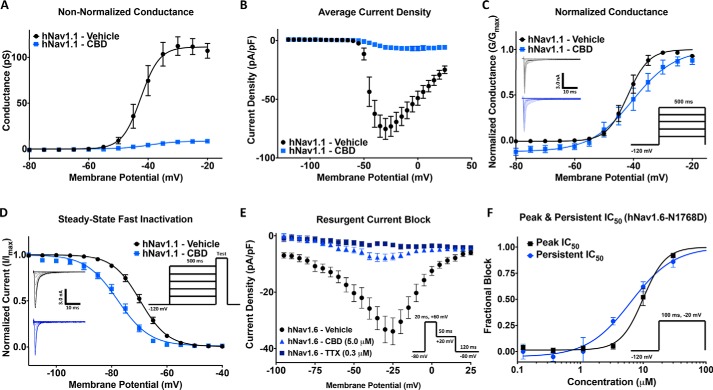 CBD effects on activation, steady-state fast inactivation (SSFI), resurgent, and persistent currents. A, conductance difference in hNav1. 1 in vehicle and 3.3 μm CBD concentration (vehicle: V½ = −42.5 ± 0.8, slope = 3.1 ± 0.7, n = 11; CBD: V½ = −39.6 ± 1.8, slope = 4.6 ± 1.5, n = 5). B, average current density of hNav1.1 in vehicle and CBD (vehicle: current density = −75.3 ± 8.9 pA/pF, n = 11; CBD: current density = −6.8 ± 3.0 pA/pF, n = 5). C, voltage dependence of activation as normalized conductance plotted against membrane potential (vehicle: V½ = −41.9 ± 0.4 mV, slope = 3.6 ± 0.4, n = 7; CBD: V½ =−40.3 ± 1.0 mV, slope = 7.2 ± 0.9, n = 5). D, voltage dependence of SSFI as normalized current plotted against membrane potential (vehicle: V½ = −69.7 ± 0.2 mV, slope = 5.0 ± 0.2, n = 12; CBD: V½ = −77.8 ± 0.3 mV, slope = 5.8 ± 0.3, n = 5). E, resurgent current block in hNav1.6 (vehicle: resurgent density = −33.9 ± 4.8 pA/pF, n = 11; CBD: resurgent density = −7.3 ± 1.2 pA/pF, n = 23; tetrodotoxin (TTX): resurgent density = −3.3 ± 0.7 pA/pF, n = 31). F, IC50 of CBD block of peak and persistent currents in hNav1.6 mutant (N1768D) (peak: IC50 = 10.0 ± 0.7 μm, slope = 2.0 ± 0.4, n = 3–11; persistent: IC50 = 6.4 ± 1.0 μm, slope = 1.3 ± 0.2, n = 3–9).