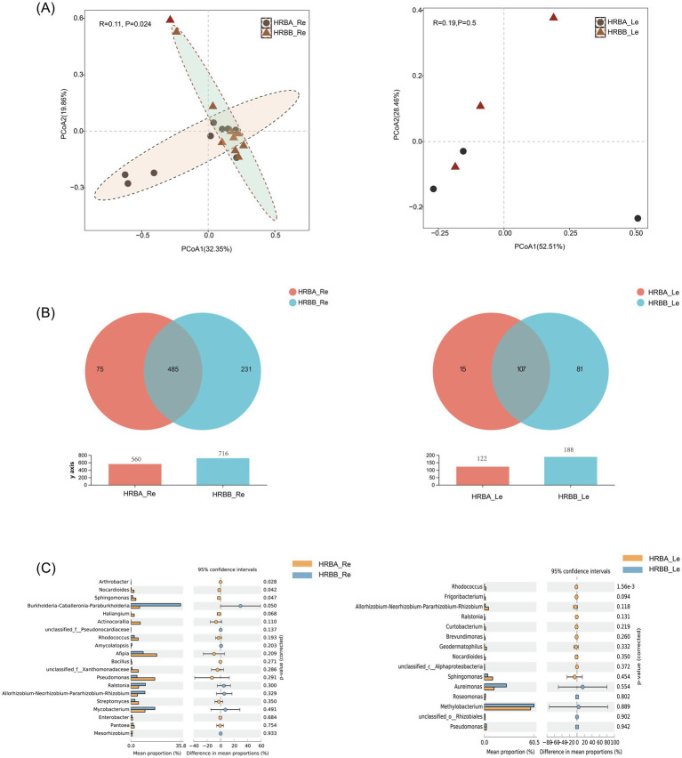 Endophytic bacterial community diversity of HRBA and HRBB. (A) Principal component analysis (PCoA) of root and leaf endophytic bacterial communities. (B) Venn diagram of endophytic bacteria. (C) Differential analysis of endophytic bacterial genera.