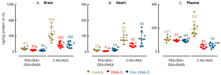 Endocannabinoids and N-acyl ethanolamides in brain (A), heart (B), and plasma (C) of animals after the 4 weeks of treatment. Fatty acid derivatives are grouped by family, endocannabinoids and N-acyl ethanolamides. Levels are expressed in ng/mg of protein for brain and heart, and in ng/mL for plasma. The average is indicated by a number for each group of animals. Different letters between groups mean a significant difference between groups.