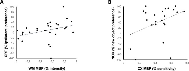 Relationship between immunohistochemical and neurobehavioral studies. Linear correlation between MBP staining intensity and different neurobehavioral test performed 30 days after a hypoxic-ischemic insult induced in P7–10 Wistar rats or a similar period in control rats. (A) Correlation between hemiparesis as assessed by the cylinder rearing test (CRT) and MBP intensity in White Matter (corpus callosum, CC); Spearman’s correlation: R = 0.396, t = 2.58, p = 0.013. (B) Correlation between memory impairment as assessed by novel object recognition test (NOR) and MBP intensity in cortex; Spearman’s correlation: R = 0.443, t = 2.57, p = 0.015).