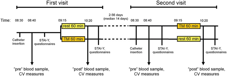 Flow chart of the study showing the sampling times
