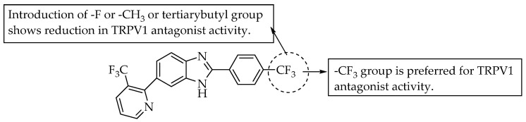 SARs of 6-(3-trifluoromethylpyridin-2-yl) benzimidazoles.