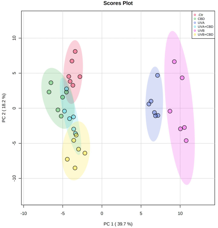 Two-dimensional principal component analysis (2D PCA) scores plot of the relative phospholipid content of control (Ctr) and UVA-irradiated rats (increasing doses from 0.5 to 5 J/cm2 for 4 weeks) or UVB-irradiated rats (increasing doses from 0.02 to 2 J/cm2 for 4 weeks). These animals have not been treated (Ctr, UVA, and UVB) or have been treated topically with CBD (CBD, UVA+CBD, and UVB+CBD) (2.5 g CBD in 100 g petrolatum).