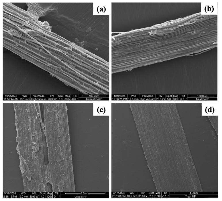 SEM images of a bundle of natural fibres: (a) untreated PALF, (b) NaOH- and Silane69-treated PALF, (c) untreated HF, and (d) NaOH- and Silane69-treated HF.