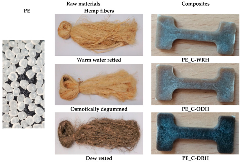 View of raw materials and hemp fiber-reinforced composites.