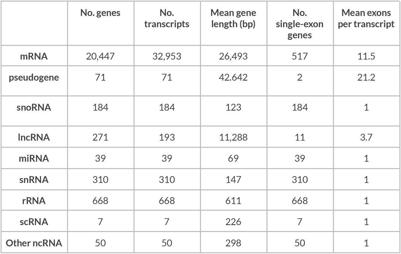 Statistics from assembled gene models