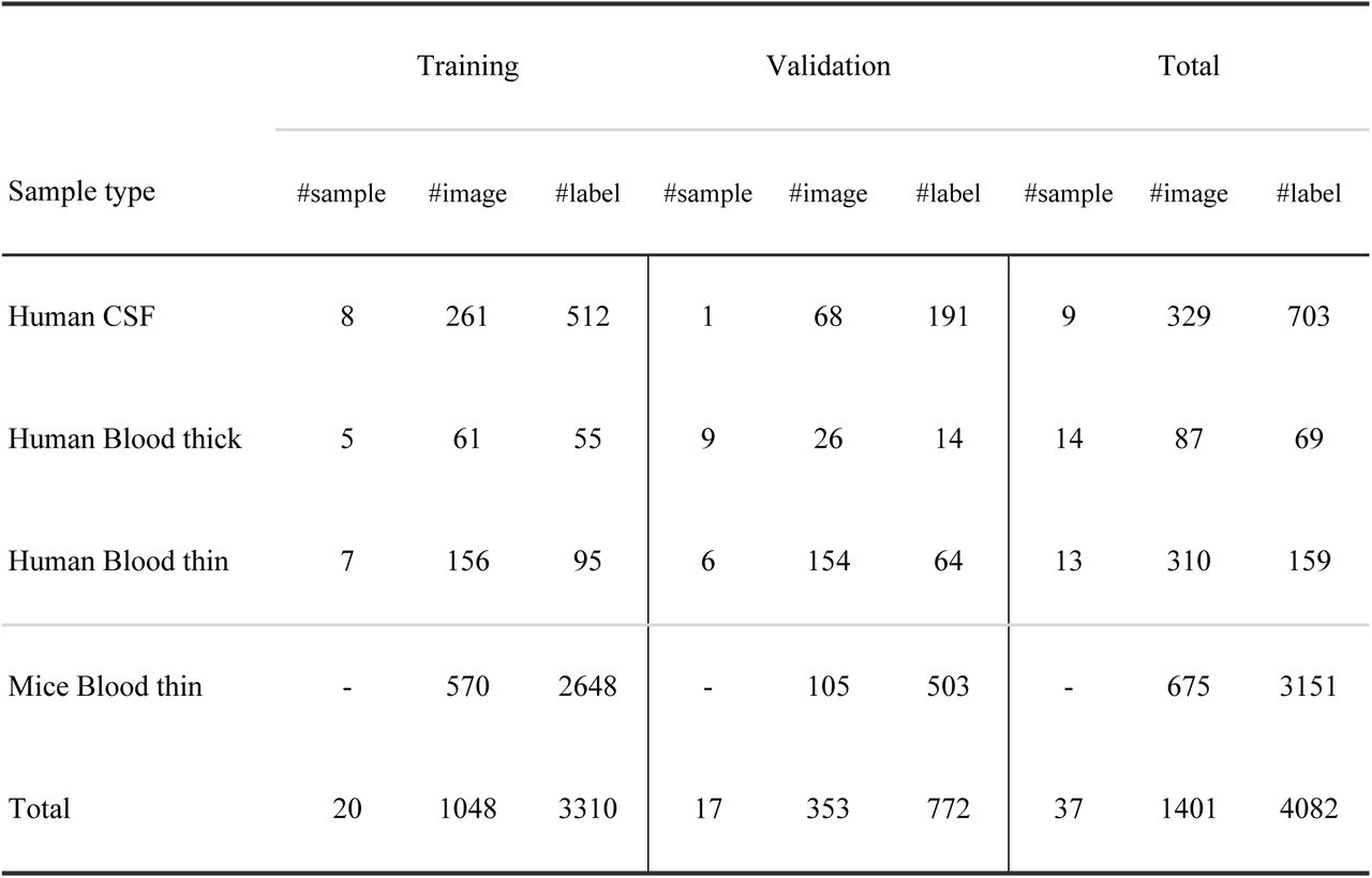 Dataset distribution of the training and validation algorithm.