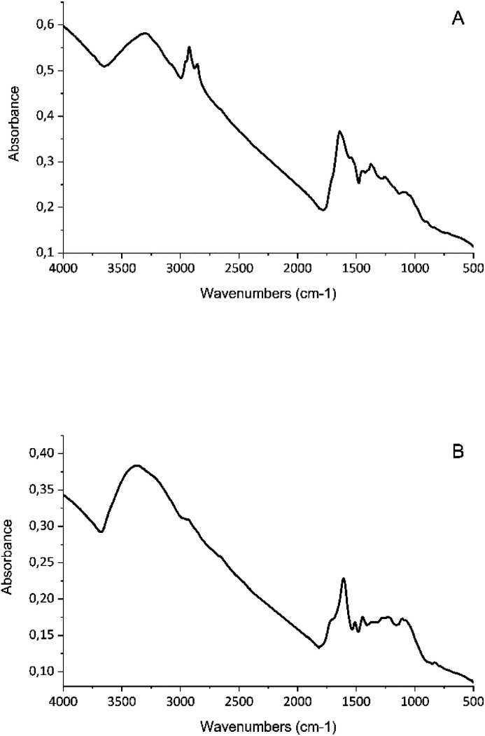 Fourier Transform Infrared (FTIR) spectrum of bimetallic nanoparticles. This figure displays the FTIR spectrum of bimetallic nanoparticles synthesized using Vitis vinifera (A) or Cannabis sativa (B) waste extract. The x-axis represents the wavenumber (in cm−1), and the y-axis denotes the absorbance. Each peak in the spectrum corresponds to a specific vibrational mode of a functional group present in the nanoparticles. FTIR spectroscopy reveals functional groups on the surfaces of bimetallic nanoparticles synthesized using Vitis vinifera and Cannabis sativa extracts. Peaks at specific wavenumbers confirm the presence of various functional groups, including CC bonds, O–H groups, and C–O bonds, as well as valence vibrations of C–H bonds.