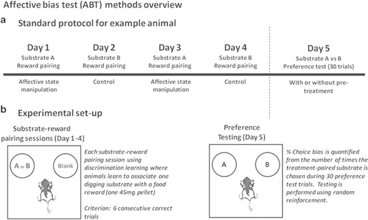 Methods overview. The affective bias test (ABT) provides a translational rodent assay of cognitive affective bias in depression (Stuart et al, 2013). An overview of the standard bowl-digging task procedure for a single animal is shown in (a). All studies use a within-subject or mixed study design wherein each animal encounters two independent, learning experiences (substrate–reinforcer pairing sessions, (b), left) over a 4-day period followed by a preference test (b, right). The experiences are of equal value (1 × 45 mg reward pellet) but we have shown that affective states, and antidepressants or prodepressant drugs, induce biases in these experiences that can be quantified using a preference test (Stuart et al, 2013).