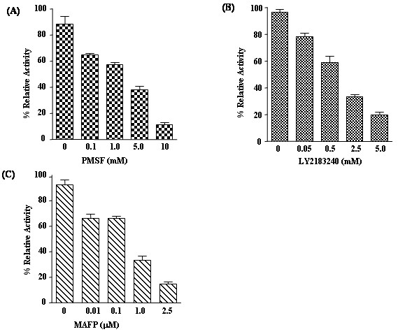 Effect of different mechanism based inhibitors (A) PMSF, (B) LY2183240 and (C) MAFP on Dictyostelium FAAH activity. 10μg of HIS-FAAH protein purified from Dictyostelium were incubated for 30 min at 37°C with 100μM arachidonoyl p- nitroaniline substrate in the absence (0 mM) or presence of increasing concentration of PMSF, LY2183240 and MAFP. Calculated specific activity of the enzyme reactions with and without the inhibitors were represented as % relative activity. The data are means ± S.D. of three replicate experiments.