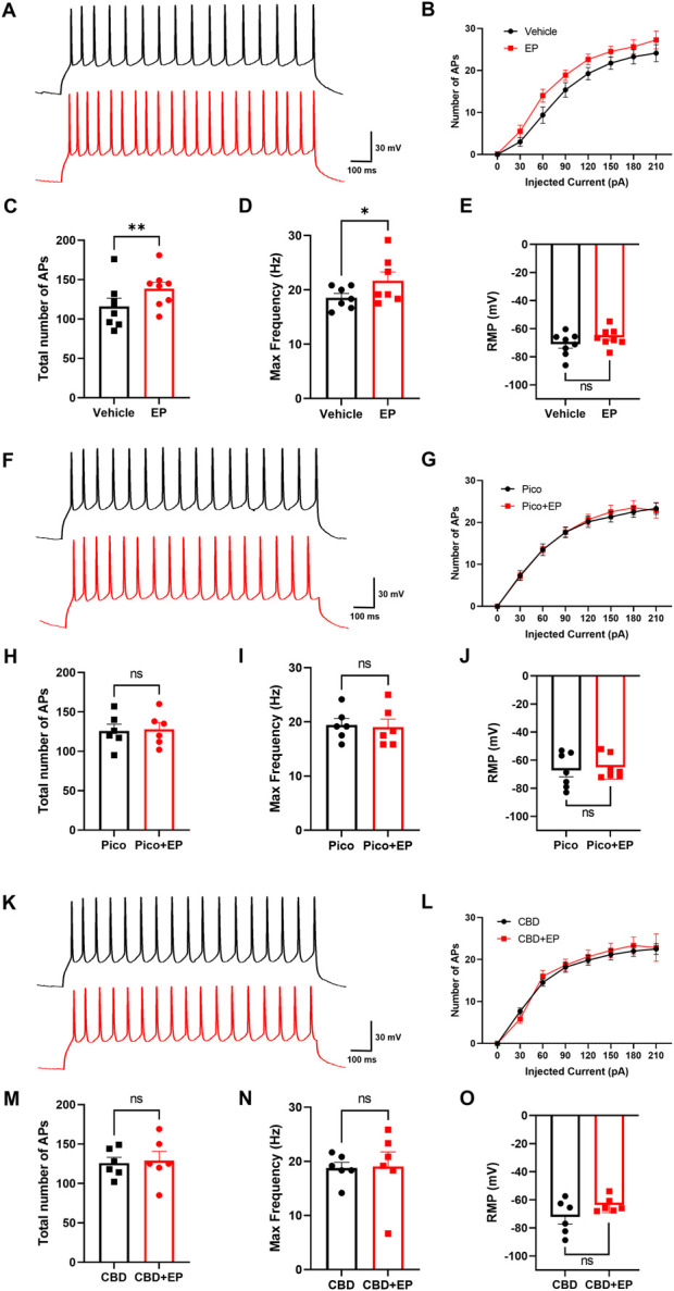 Modulation effect of EP and CBD in mPFC pyramidal neurons. (A) Representative trace of APs at +90 pA from mPFC neurons in the baseline (black), and 30 μM EP application (red). (B) The statistics of AP firing number under each injected current value from 0 to 210 pA. (C–E) The statistics of the total number of APs (C), max firing frequency (D), membrane potential (E) of recorded neurons, n = 8 cells from 3 mice. (F) Representative trace of APs at +90 pA from mPFC neurons preincubated with 10 μM Pico145 in the baseline (black), and 30 μM EP application (red). (G) The statistics of AP firing number under each injected current value from 0 to 210 pA. (H–J) The statistics of the total number of APs (H), max firing frequency (I), the membrane potential (J) of recorded neurons, n = 7 cells from 3 mice (K) Representative trace of APs at +90 pA from mPFC neurons preincubated with 10 μM CBD in the baseline (black), and 30 μM EP application (red) (L) The statistics of AP firing number under each injected current value from 0 to 210 pA (M–O) The statistics of the total number of APs (M), max firing frequency (N), the membrane potential (O) of recorded neurons, n = 6 cells from 3 mice. The data are shown as the mean ± s. e.m., paired t-test was used for statistical analysis, * indicates p < 0.05, ** indicates p < 0.01, ns indicates no significance.