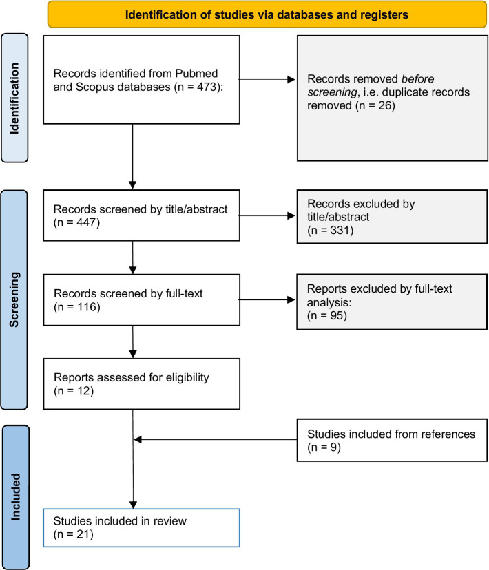 Prisma 2020 flow diagram, including database search, as applied for the present systematic review.