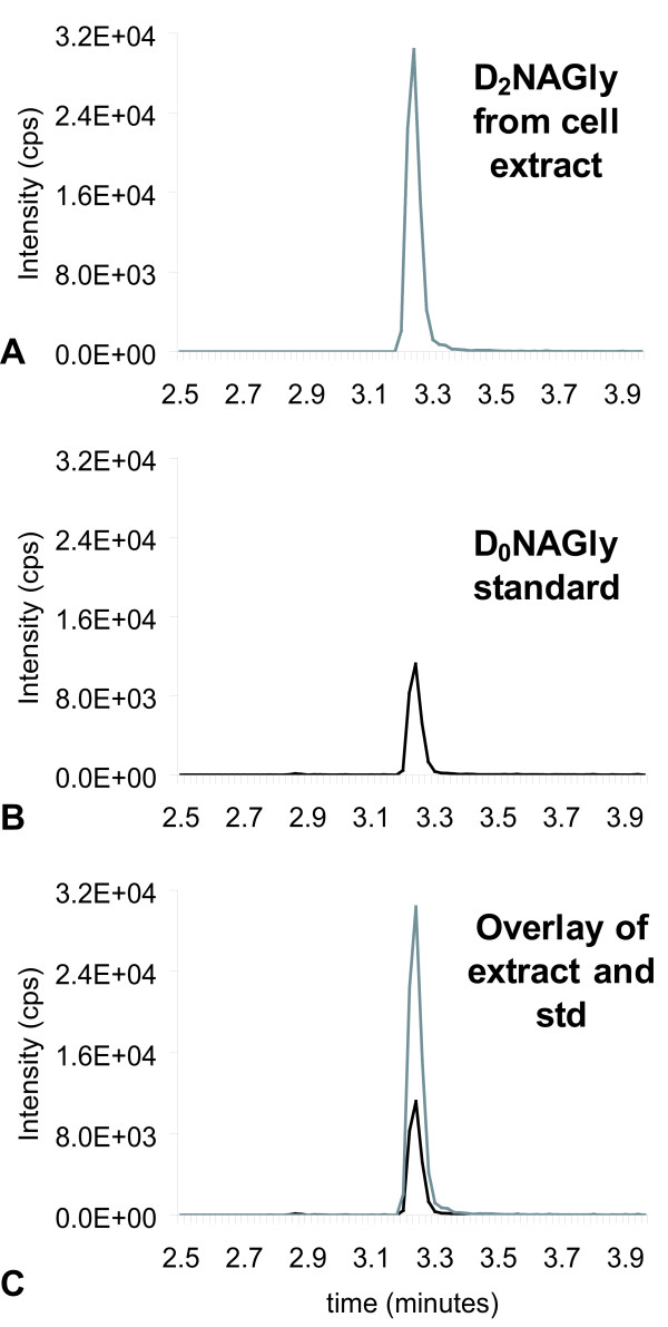 Chromatograms of the tandem mass spectrometric (MS) method for deuterium-labeled N-arachidonoyl glycine (D2NAGly) in which the parent mass in negative mode [362.3]- is paired fragment mass of deuterium-labeled glycine [76.0]- or the non-deuterium-labeled N-arachidonoyl glycine (D0NAGly) that has a parent mass in negative ion mode of [360.3]- and a paired fragment mass of glycine [74.0]-. A) Chromatogram of an MS scan for the 362.3/76 pair from RAW 267.4 cell extracts that were incubated with deuterium-labeled anandamide (D4AEA). B) Chromatogram of the MS scan for the 360.3/74 pair with the synthesized D0NAGly standard (std). C) Overlay of the two independent scans.
