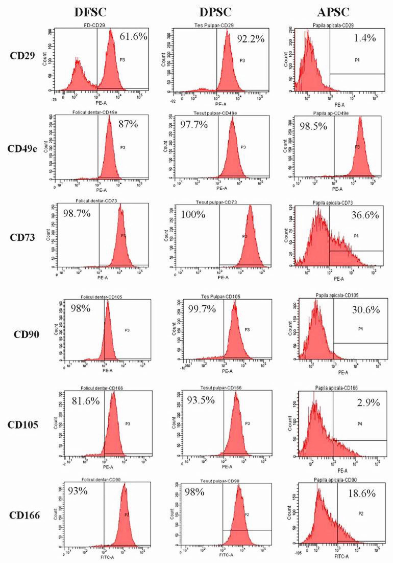 The three types of isolated cells from the dental follicle (DFSCs), dental pulp (DPSCs), and apical papilla (APSCs) analyzed by flow cytometry for surface stem cell markers.