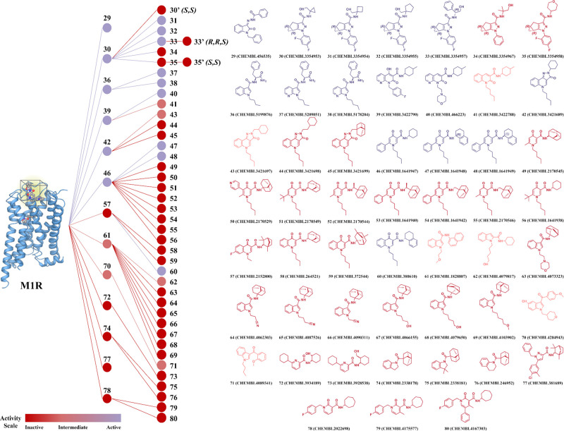 Predicted affinity/binding distribution of CB2R agonist compounds in the M1R allosteric binding site by Scaffold-Defined Groups. (A) color-coded tree map illustrates the distribution of predicted binding affinities for CB2R agonist compounds within the M1R allosteric binding site, grouped according to shared chemical scaffolds.