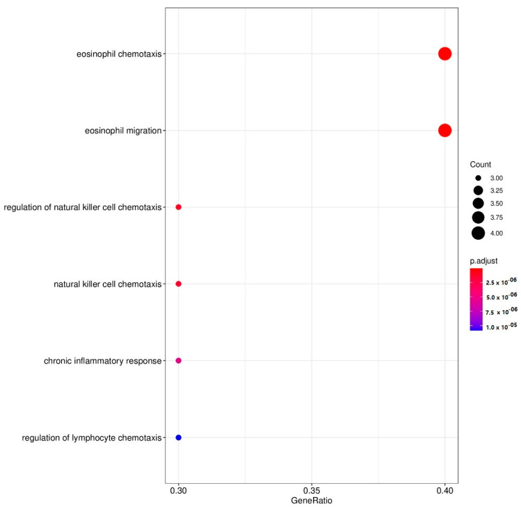 Dot plots of enriched GO functions representing downregulated genes by cannabidiol (1.0 µg/mL). p adjust: color intensity indicates variable values of p values.
