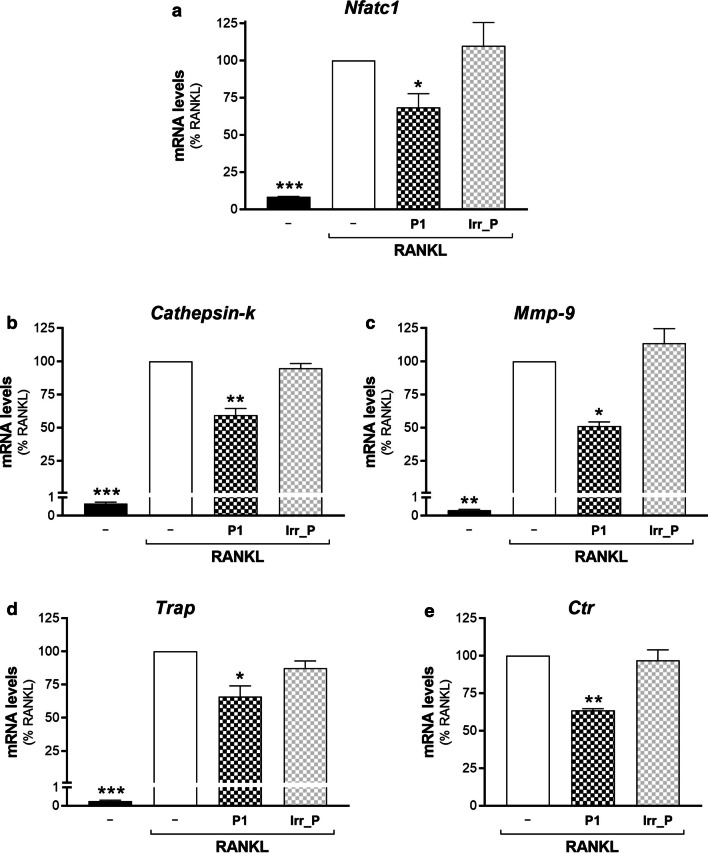 Peptide-P1 inhibits osteoclast maturation. Real-time PCR analysis of the differentiation markers (as indicated) in RAW264.7 cells treated without (–) or with 15 ng/mL RANKL for 72 h, in absence or in presence of 150 nM (0.2 µg/mL) Peptide-P1 (P1), or an irrelevant peptide (Irr_P, CGGNGPGLC). Transcripts were quantified and normalised using β2-microglobulin expression, as the housekeeping gene. Data are means ± SEM of three independent experiments. *p < 0.05; **p < 0.01; ***p < 0.005 versus RANKL (one-way ANOVA, followed by Fisher’s least significant difference tests)