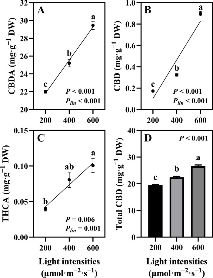 Four graphs display the effects of light intensity on compound concentrations. Graph A shows CBDA increasing with higher light intensity; Graph B shows CBD with a similar upward trend. Graph C displays THCA levels rising as light intensity increases. Graph D illustrates total CBD concentration with increasing light intensity. Each graph includes statistical significance (P-values < 0.01) and labeled points (a, b, c) indicating different groups.