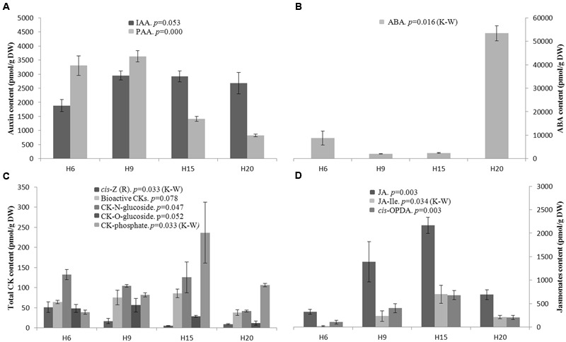 Endogenous phytohormone levels in hemp hypocotyls at H6, H9, H15, and H20. (A) (top left): bioactive auxins; IAA indole-3-acetic acid, PAA phenylacetic acid. (B) (top right): ABA, abscisic acid. (C) (bottom left): Total cytokinin. (D) (bottom right): bioactive JAs; JA, jasmonic acid; JA-Ile, jasmonoyl-isoleucine; cis-OPDA, cis-(+)-12-oxo-phytodienoic acid. Mean values ± SE are given. ANOVA or Kruskal–Wallis (K–W) results are indicated depending on the normality of data distribution (Shapiro–Wilk p > 0.05 or p < 0.05, respectively). n = 3 biological replicates.