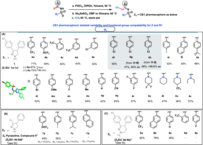 Scope of substrates for selenomethylation.