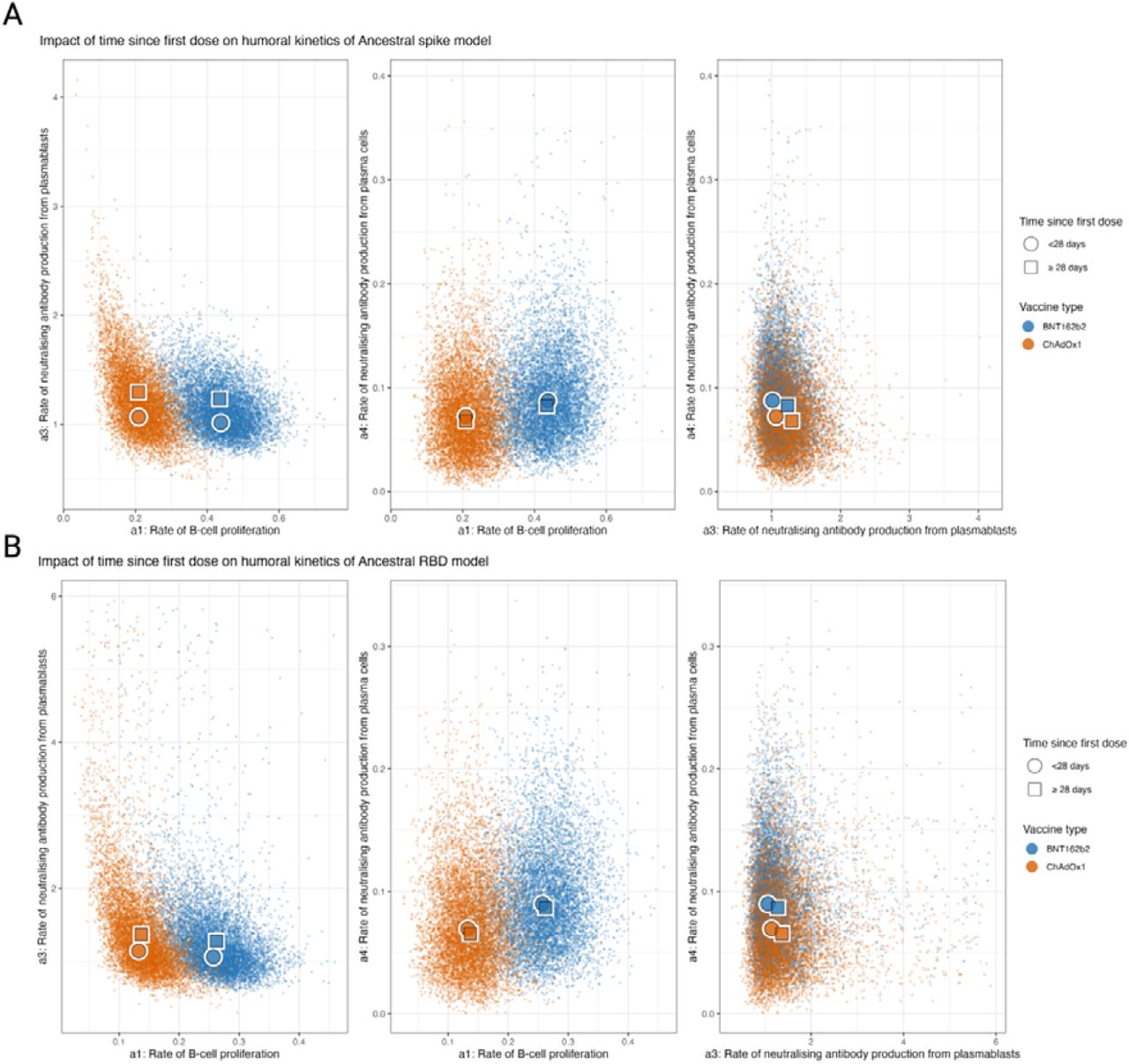 Posterior predictive distributions of the parameters driving the in-host mechanistic model according to key covariates for ancestral spike and RBD stratified by time since the first dose. (A) Posterior predictive distributions for the impact of time since the first dose on the rate of MBC proliferation (a1), the rate of sVNT antibody production from plasmablasts (a3), the rate of sVNT antibody production from plasma cells (a4). (B) Posterior predictive distributions for the age on a1, a3, and a4.